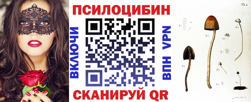 Псилоцибиновые грибы GOLDEN TEACHER  Купить где  Балаково 